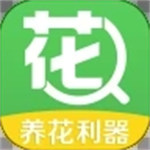 花百科app最新版