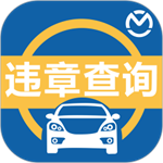 汽车违章查询app  v8.2.4